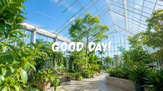 work & study music 🌿 smooth jazz | a sunlit greenhouse for a lighter start screenshot 1