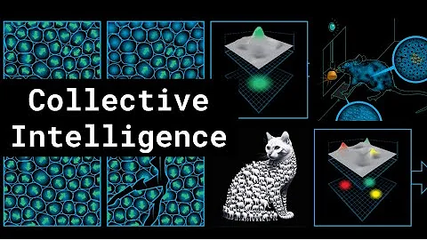 Collective Intelligence - DayDayNews