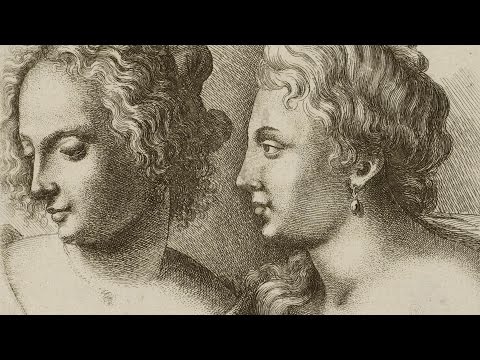 Leonardo, Rapunzel and the Mathematics of Hair - Professor Raymond E. Goldstein thumbnail