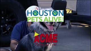 Barktober Fest 2025 with ACME Party and Tent