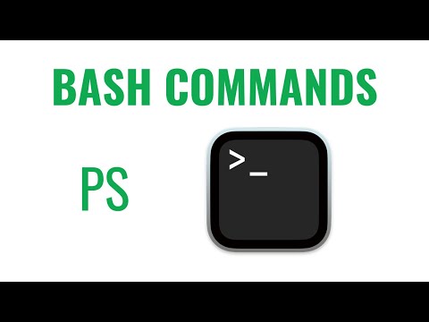 Bash Commands - ps command