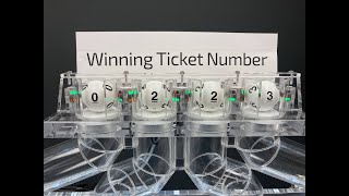 Single Digit Raffle Machine screenshot 3