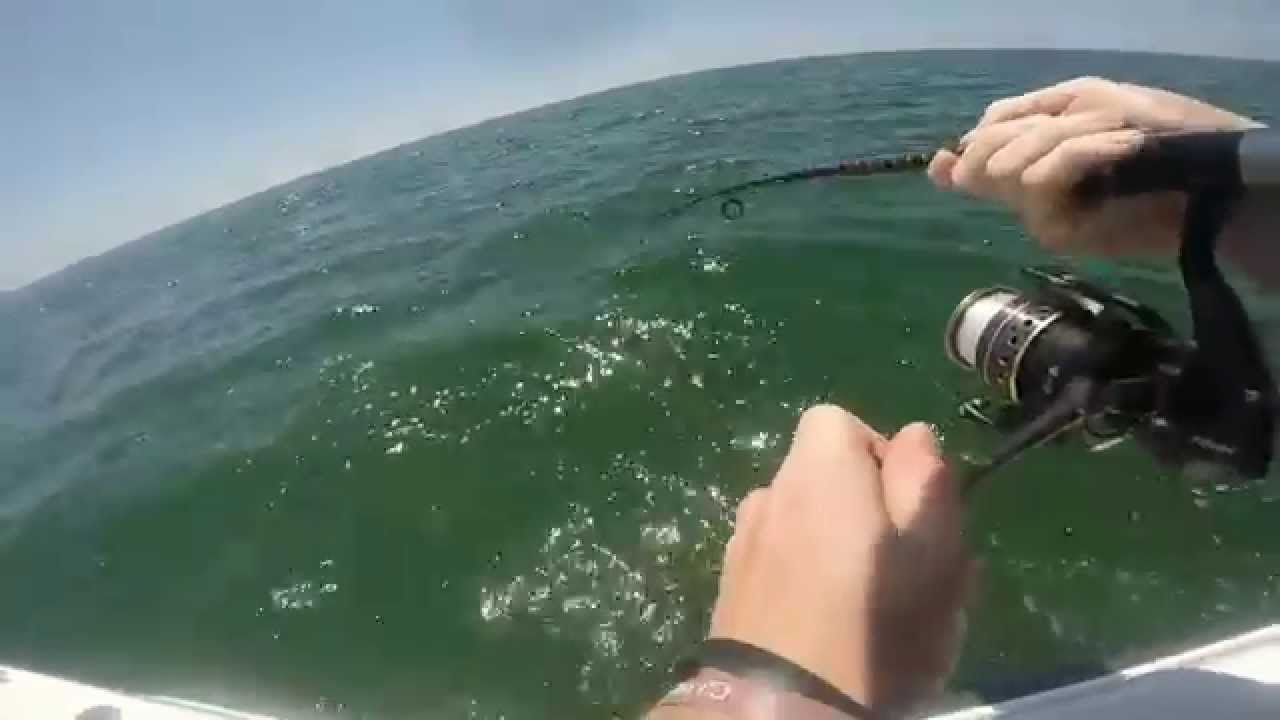 Inshore Fishing Gulf Shores, AL (GoPro Hero3+ Black 1080p HD) YouTube