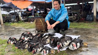 Zon sells wild chickens, ducks, pigeon , wild boars, vang hoa, king kong amazon