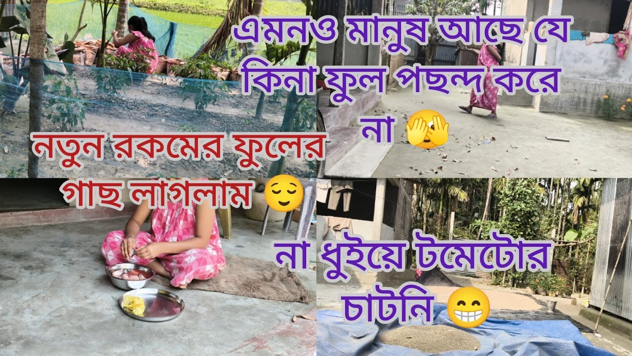 এমনও মানুষ আছে যে কিনা ফুল পছন্দ করে না। 🙂 আজকে আবারো নতুন রকমের ফুল গাছ লাগলাম 😌#mousumilifestyle 