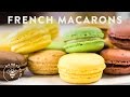Master the French Macaron Easy Recipe | HONEYSUCKLE