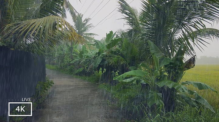 ASMR to Make you Fall Asleep Fast | Monsoon Footage India | Our Rain Walks Compilation