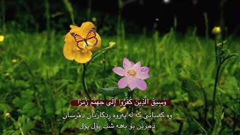 سورة الزمر"| القارئ فؤاد كريم