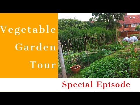 Simple Gardening Tips & Tricks for Improved Results | Vegetable Garden Tour