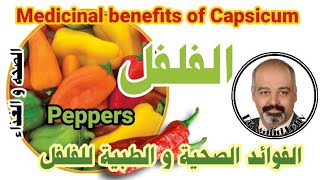 فلفل| الفوائد الصحية و الطبية |medicinal  benefits of Capsicum |chilli | peppers