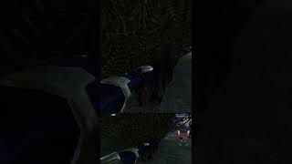 Mining for materials! #gaming #halo #cursedhalo #haloce #halomods #funny #dang #shorts