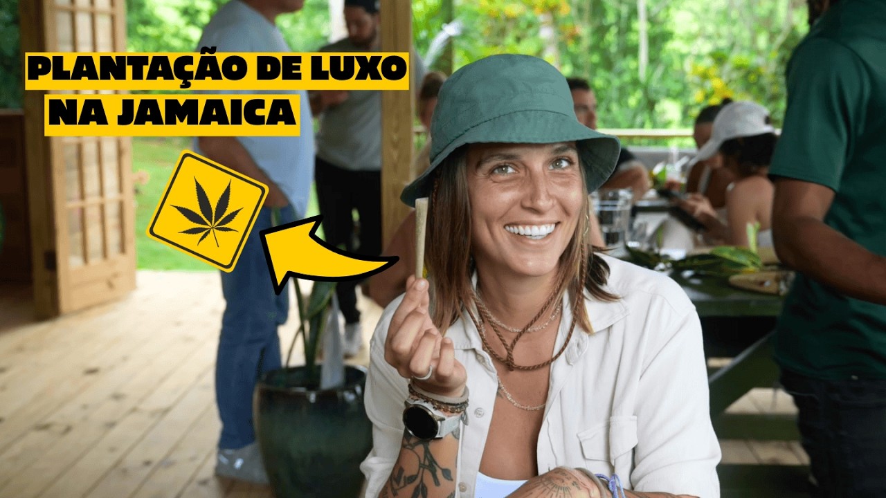 PRODUÇÃO DE CANNABIS DE LUXO NA JAMAICA 🍁🔥