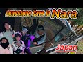 NARA ADVENTURE | japanlife | chachankidsjapan