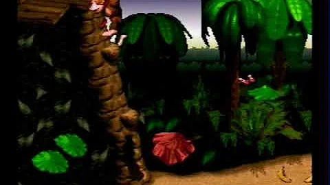 Donkey Kong Country - SNES 101% playthrough (recorded 2011-02-17)