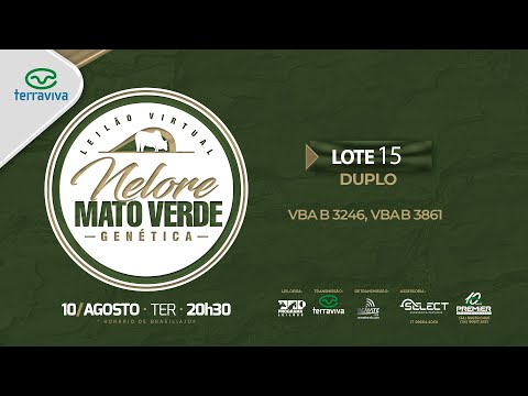 LOTE 15