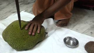 How To Cut And Eat JACKFRUIT HD