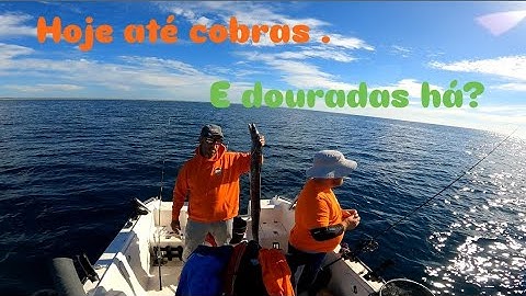 Hoje até cobras. E douradas há?