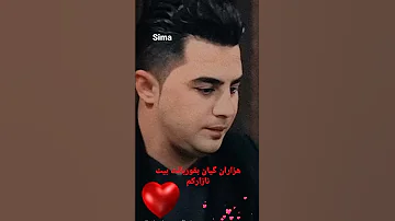 نازار دلم پیشرو هورامی سلطان صدا خواننده کورد صدایی ماندگار 