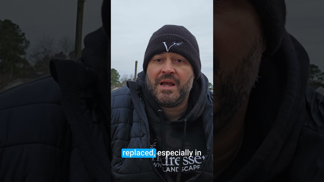 Winter Desiccation: A Hidden Threat to Your Lawn