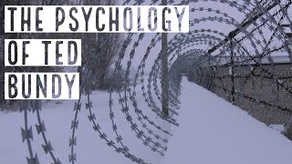 The Psychology of Ted Bundy (2019 Rerun)