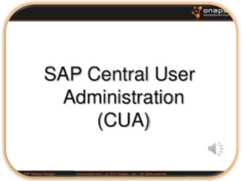 SAP Central User Administration