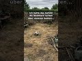 Ich dachte die Nachbarn lachen über unseren Garten – Gardly App