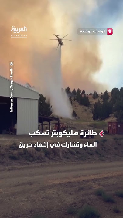            
 - نشر قبل 10 دقيقة