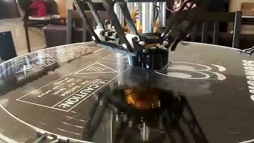 First print with Rostock Max V2