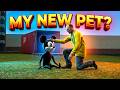 MEU NOVO PET? 😱🐭 CARTOON MOUSE PET IN GMOD! (How to Tame)