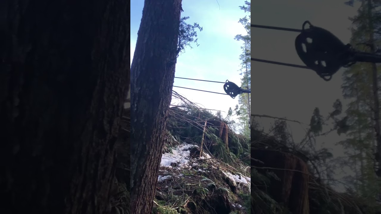 Logging Video: The things we do for LIFT!