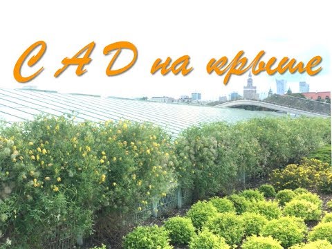 Видео: Как выглядит садоводство на крыше в Китае - Matador Network