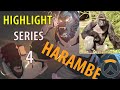 Overwatch highlight series 4  harambe