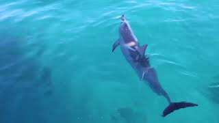 My Trip To Hawaii 2016
