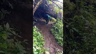 Download Lagu Jalur pandakian gunung slamet via gunung malang #damar pala# MP3