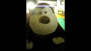Proximity Monkey © Trigger Object    Paul @ SPS Sussex Paranormal Society