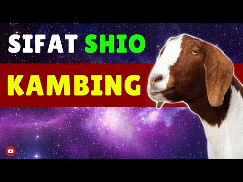 Video: Tahun Kambing: Ciri Orang Yang Dilahirkan Pada Tahun Kambing