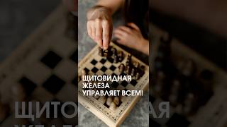 ВЫ ЗНАЛИ, что щитовидная железа управляет всем! 