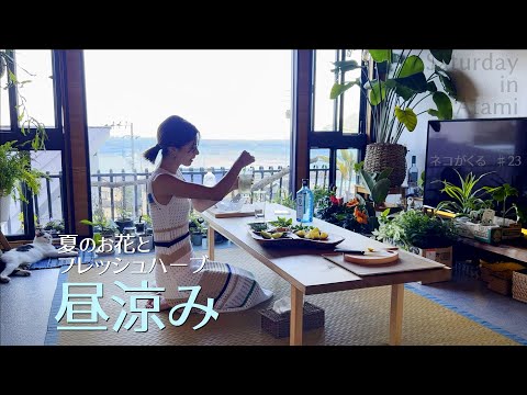 #23【vlog】夏のお花とフレッシュハーブで昼涼み｜Living Amiably in Atami