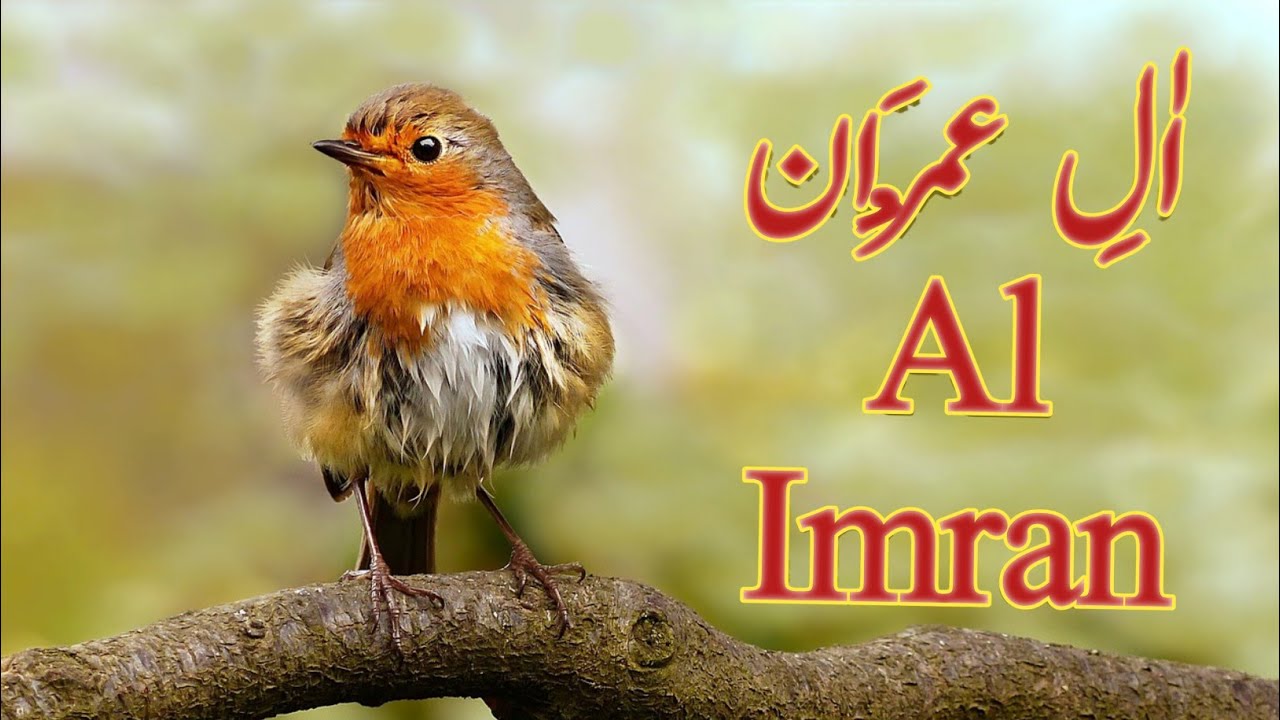 Surah Al Imran Ki Tilawat beautiful Voice With Arabic Text Mashallah surah-al-imran-ki-tilawat-beautiful-voice-with-arabic-text-mashallah