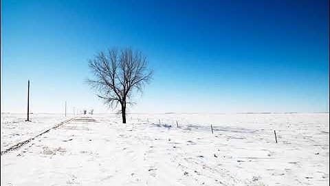 القارئ : شيرزاد طاهر - سورة التغابن