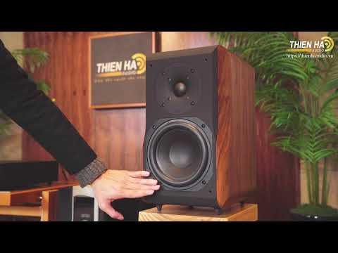 Loa Chario Delphinus Loa bookshelf hi-end Made in Italy