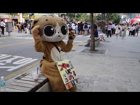 JHKTV] 신촌 명물고양이 무서버 shin chon special <strong>cat</strong> I&amp;#39;<strong>m</strong> scared