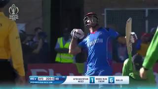 Afghanistan qualifies for ICC Cricket World Cup 2019 screenshot 5