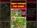 சுற்றுலாப் பயணிகளுக்கு பெரும் ஏமாற்றம்!