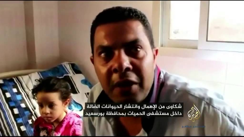 "حيوانات ضالة" في مستشفى الحميات ببورسعيد