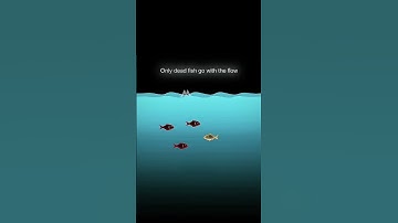 Only dead fish 🐠 Go with the flow. || #motivation #motionart #discipline #success #shorts #trending