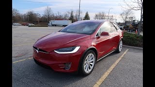 Celebrity Day 274 Tesla Ruby A New Chip, 5 Complete, and All A's Net Worth