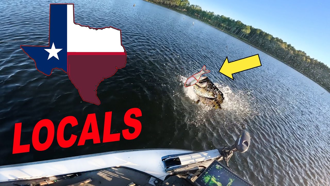 Texas “LOCALS” CLUELESS about THESE Big Bass BAITS