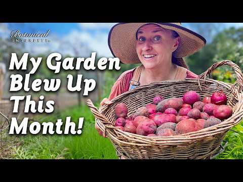 Massive Garden Harvest (with Expert Tips!)