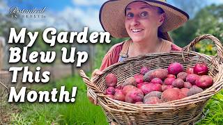 Massive Garden Harvest (with Expert Tips!)